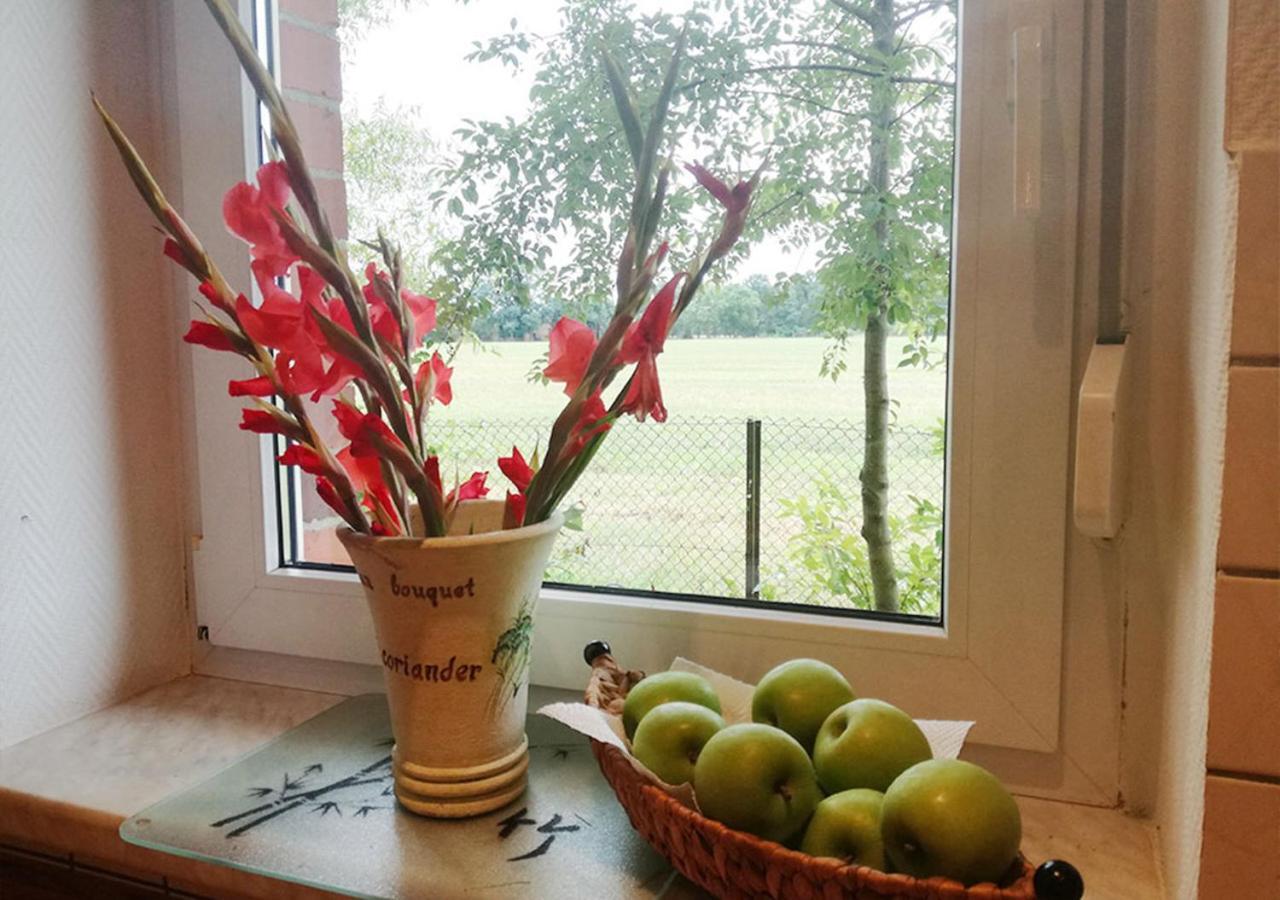 Ferienhaus Elpare Schleife Kültér fotó
