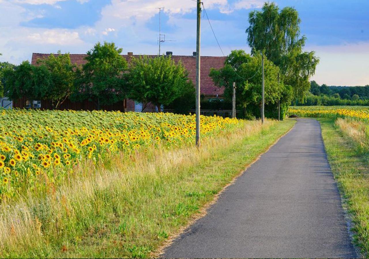 Ferienhaus Elpare Schleife Kültér fotó